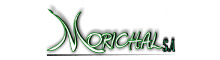 morichal